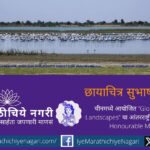 Flamingos and cranes standing in a long formation in the wetlands of Kutch captured by photographer Subhash Purohit