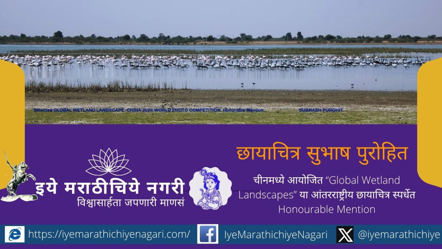 Flamingos and cranes standing in a long formation in the wetlands of Kutch captured by photographer Subhash Purohit