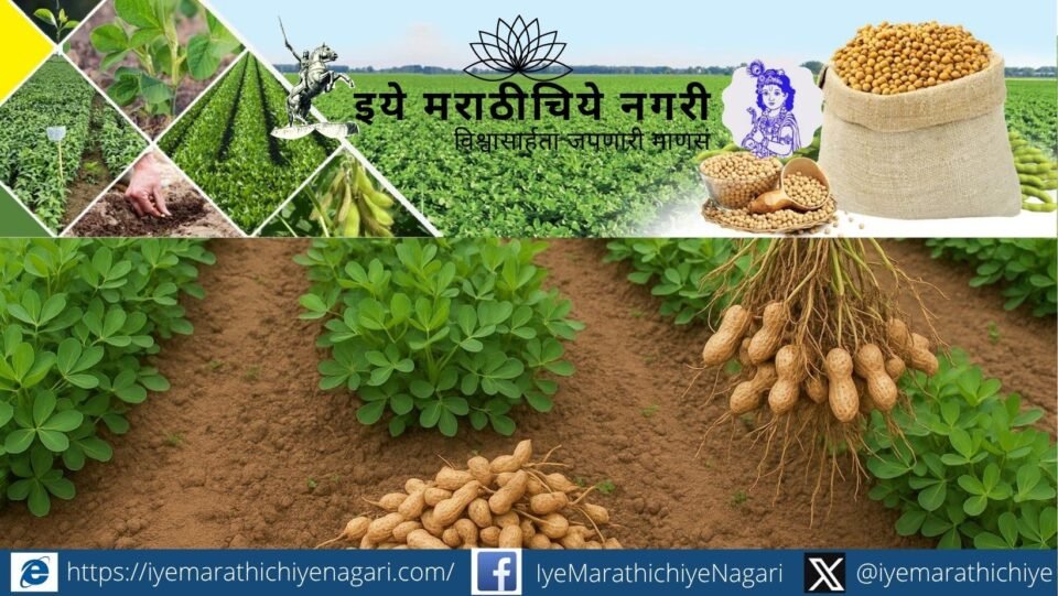 Kolhapur farmers to get free groundnut and soybean seeds under NMEO-OS 2026-27 scheme with subsidy benefits for oil extraction units and storage facilities.