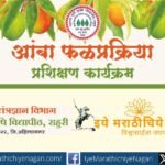 महात्मा फुले कृषी विद्यापीठ, राहुरी येथे २ ते ६ जून २०२६ दरम्यान आंबा फळप्रक्रिया प्रशिक्षण कार्यक्रमाचे आयोजन करण्यात आले असून विविध उत्पादनांचे प्रात्यक्षिक दिले जाणार आहे.