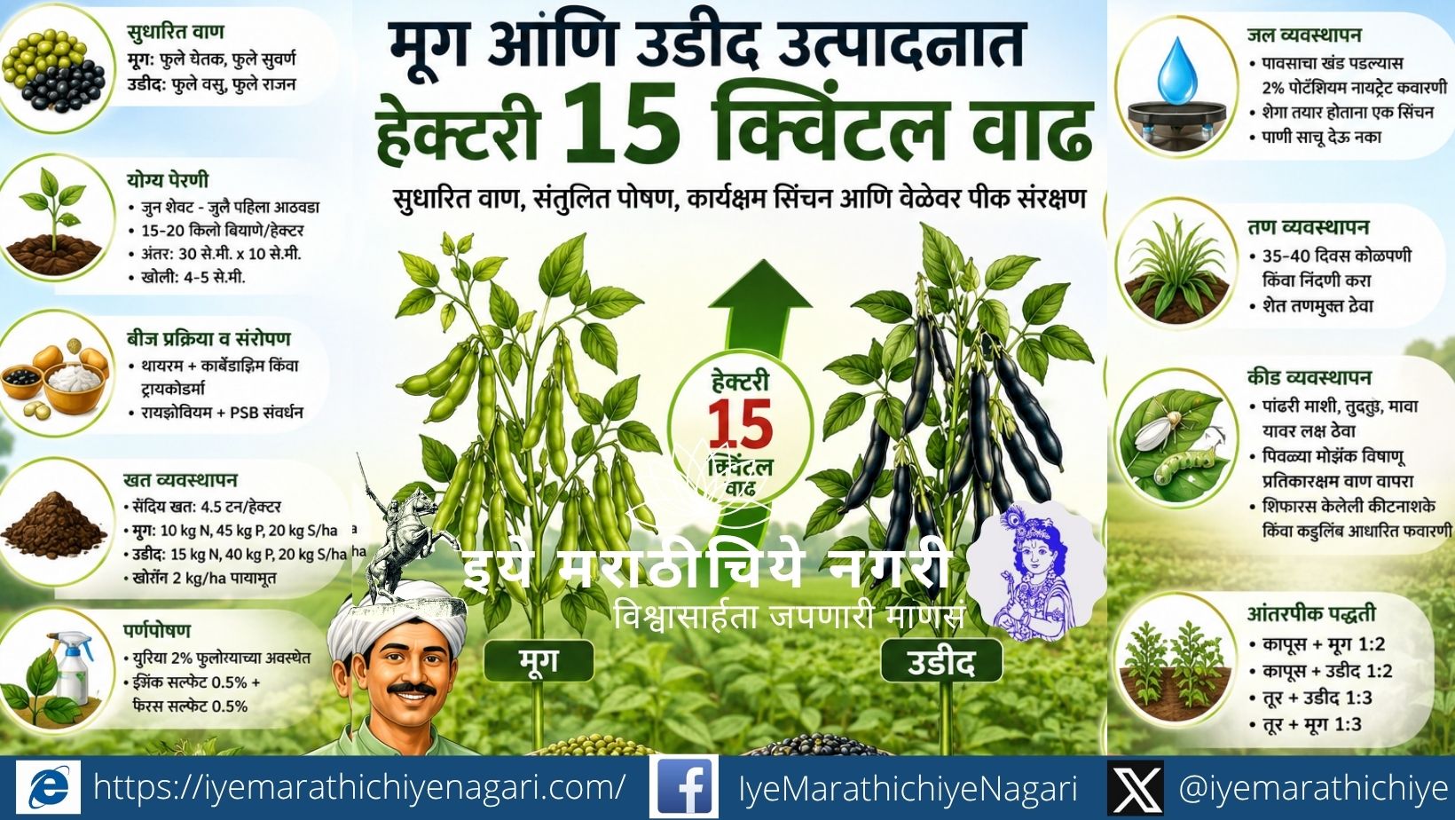 मूग-उडीद उत्पादनात हेक्टरी १५ क्विंटल वाढ शक्य मूग आणि उडीद पिकामध्ये सुधारित तंत्रज्ञान वापरून उत्पादन वाढवणारा शेतकरी