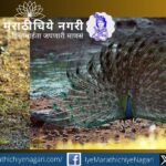 Explore the fascinating world of the Bronze-winged Jacana in Tadoba through Milind Deshmukh’s stunning wildlife photography and an insightful study of wetland biodiversity.