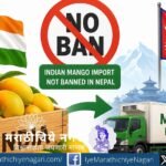 Nepal has clarified that there is no ban on Indian mango imports. More than 2,005 metric tonnes of mangoes have been exported from India to Nepal in 2026.