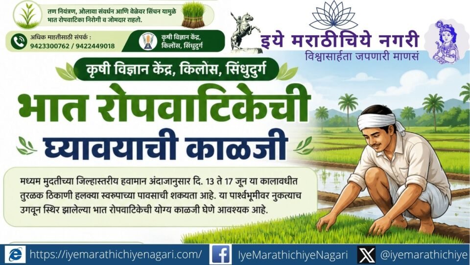 KVK Kirlos, Sindhudurg advises farmers to protect rice nurseries through timely weed control, moisture conservation and protective irrigation amid low rainfall conditions.