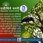 Illustration of a neem tree full of fruits with crows and a humble devotee, symbolizing Sant Dnyaneshwar's teaching in Dnyaneshwari Chapter 9 Ovi 438 that life without devotion nourishes flaws instead of virtues.
