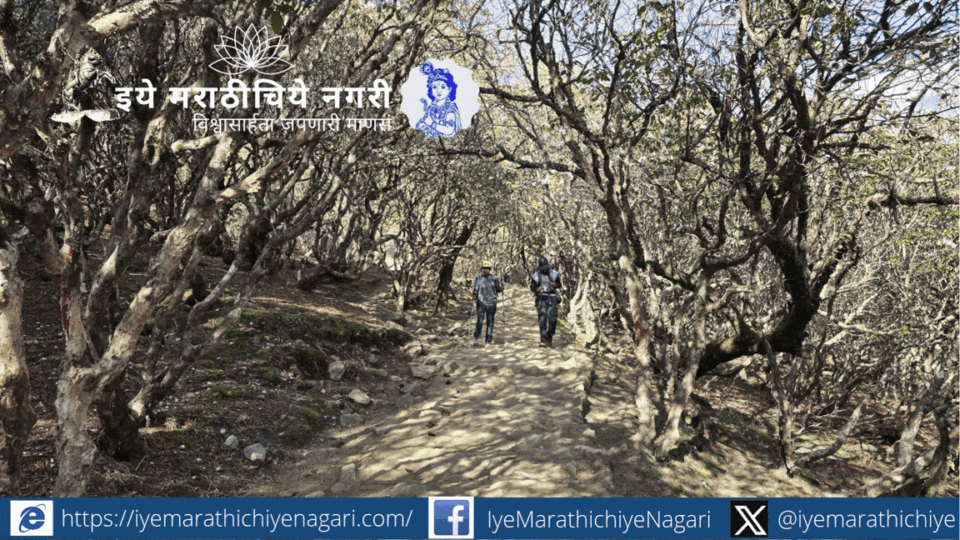 तेंगबोचे ते दिंगबोचे आणि लोबूचेपर्यंतचा एव्हरेस्ट बेस कॅम्प ट्रेक, हिमालयाचे अप्रतिम सौंदर्य, विरळ हवा, बौद्ध संस्कृती, संघर्ष आणि थरार अनुभवणारा प्रवास.