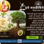 A spiritual exposition of Dnyaneshwari Ovi 100, revealing how leaves, flowers and fruits are rooted in the seed, and exploring the deeper truth behind the origin of existence.