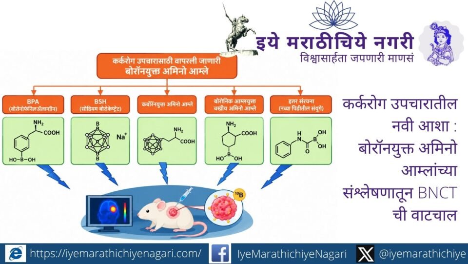बोरॉनयुक्त कृत्रिम अमिनो आम्लांच्या मदतीने कर्करोगग्रस्त पेशींमध्ये बोरॉन पोहोचवण्याचे संशोधन आणि बोरॉन न्यूट्रॉन कॅप्चर थेरपीतील नव्या उपचारदिशेचा अभ्यास.