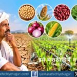 दुष्काळसदृश्य परिस्थितीत रबी हंगामात कोणती पिके घ्यावीत? उपलब्ध पाण्यानुसार हरभरा, ज्वारी, गहू, कांदा, मका यांचे नियोजन व पाणी व्यवस्थापन जाणून घ्या.