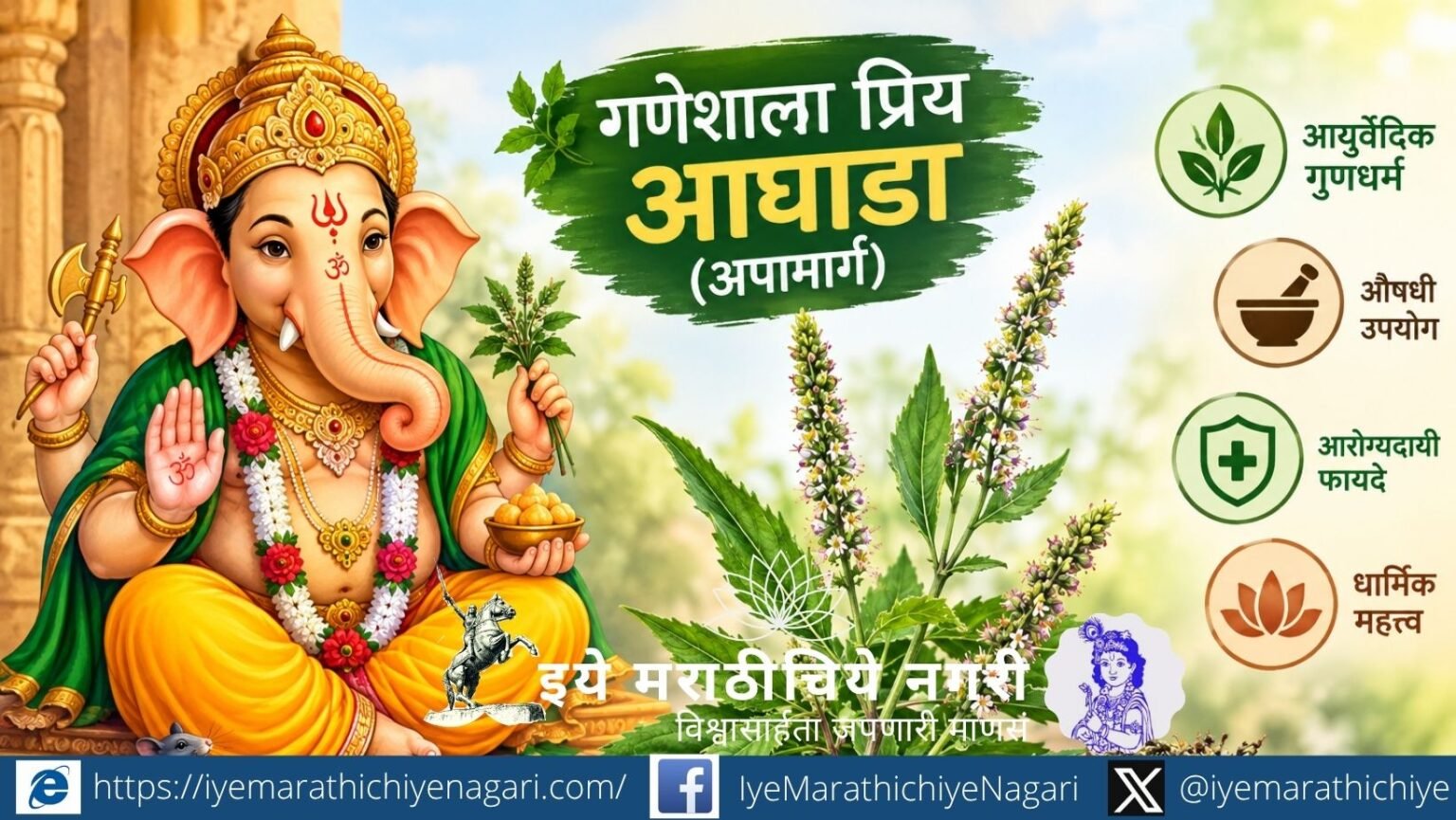 गणेशाला आघाडा म्हणजेच अपामार्ग का प्रिय मानला जातो? जाणून घ्या त्यामागील पौराणिक कथा, आयुर्वेदिक गुणधर्म आणि धार्मिक महत्त्व.