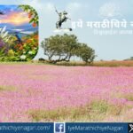 कासच्या फुलांच्या रंगीबेरंगी आरासीत निसर्गाचे अद्भुत सौंदर्य उलगडणारी सारिका टेकाळे यांची भावस्पर्शी कविता. फुले, आभाळ, पक्षी आणि निसर्गाच्या दिव्य रूपाचे काव्यमय दर्शन.