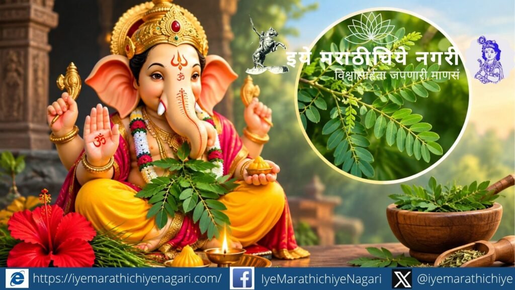 श्रीगणेशाला शमीपत्र का प्रिय आहे? जाणून घ्या शमीपत्रामागील पौराणिक कथा, गणेशपूजेतील महत्त्व आणि आयुर्वेदातील पारंपरिक उपयोग.
