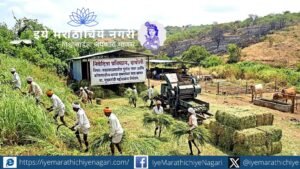 कोकणातील अतिरिक्त गवत मराठवाड्यातील गुरांसाठी चारा म्हणून वापरण्याचा प्रस्ताव. चारा टंचाई, रोजगार आणि वणवा प्रतिबंधासाठी या शास्त्रीय संकल्पनेचा विचार का व्हावा?