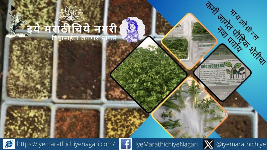 मायक्रोग्रीन्स म्हणजे काय? कमी जागेत पौष्टिक रोपांची लागवड कशी करावी, बियाण्यांची निवड, पाणी व्यवस्थापन, कापणी, साठवणूक आणि व्यावसायिक उत्पादनासाठी पायलट प्रयोगांची माहिती जाणून घ्या.